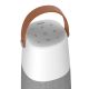 ION Audio - Hautparleur bluetooth Bright Max avec éclairage
