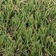 Artificial Grass | Pet Turf | CTGRA0013 | $3.24/sq.ft.