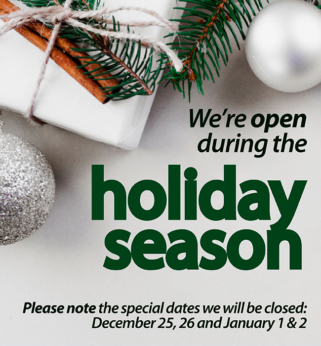 Christmas open hours En